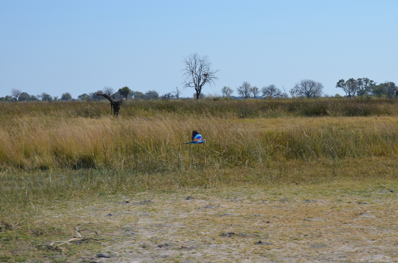 [22490] 2016_06_30_01_21_14_Africa_NIKON_D5100_IMG__00579.jpg