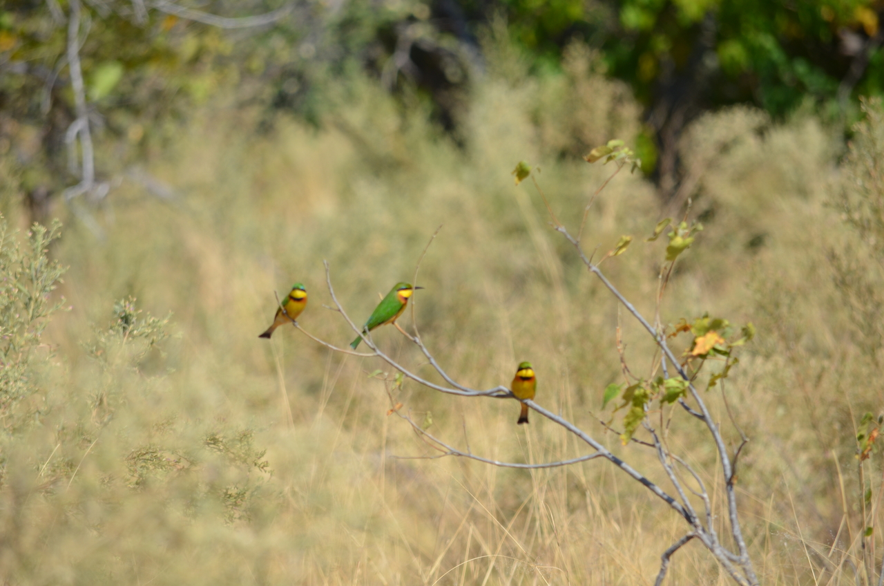[22572] 2016_06_30_01_30_18_Africa_NIKON_D5100_IMG__05207.jpg