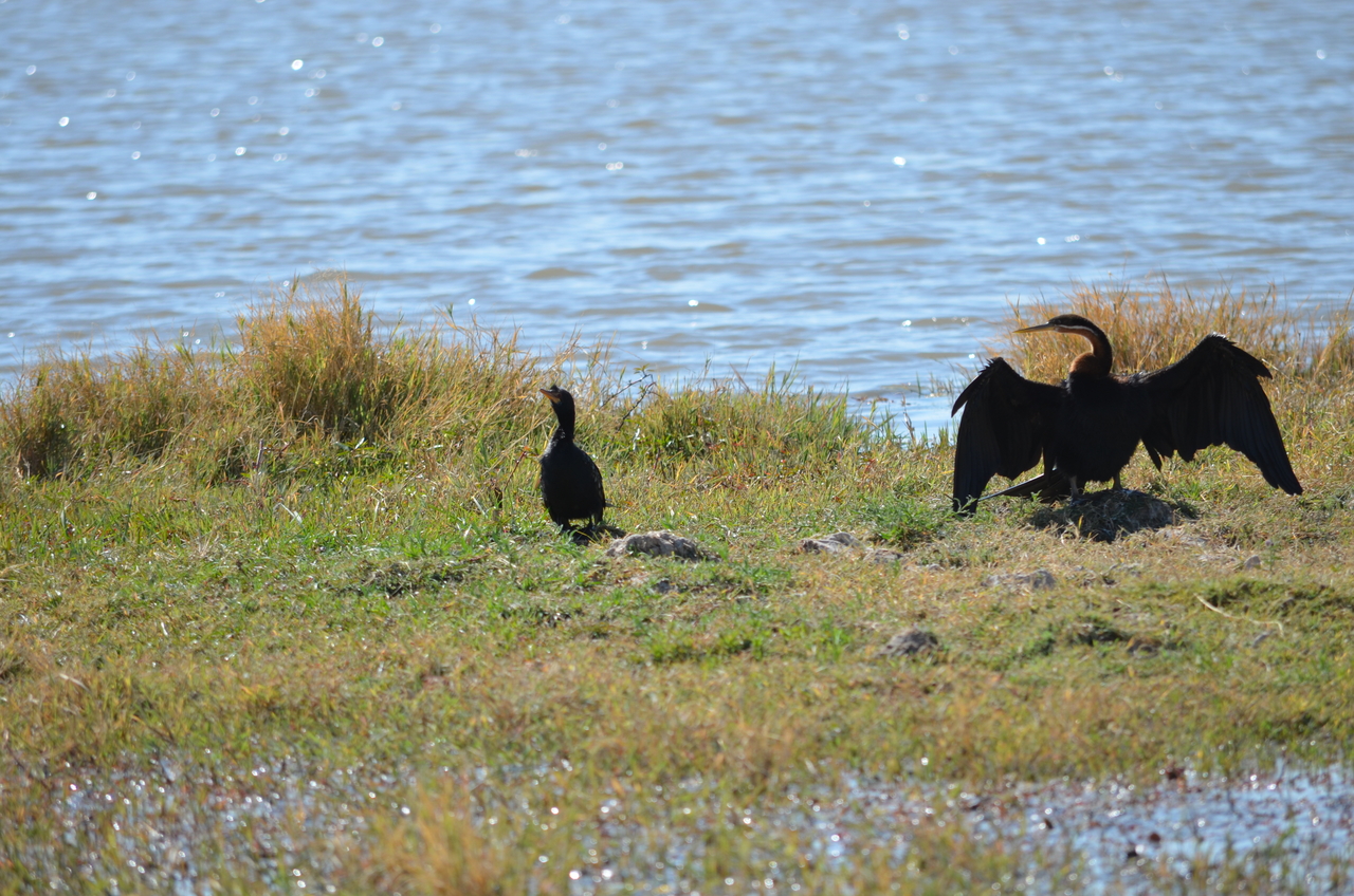 [22586] 2016_06_30_01_35_31_Africa_NIKON_D5100_IMG__05214.jpg