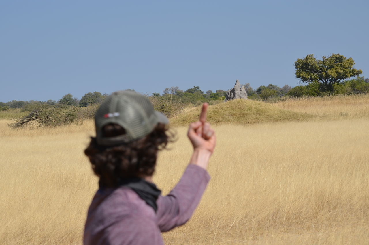 [23160] 2016_06_30_02_34_30_Africa_NIKON_D5100_IMG__05267.jpg