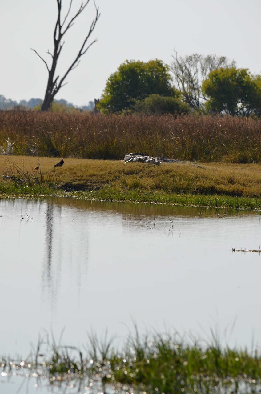 [23823] 2016_06_30_05_20_07_Africa_NIKON_D5100_IMG__05339.jpg