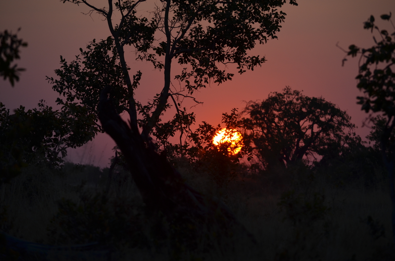 [24651] 2016_06_30_08_03_41_Africa_NIKON_D5100_IMG__00746.jpg