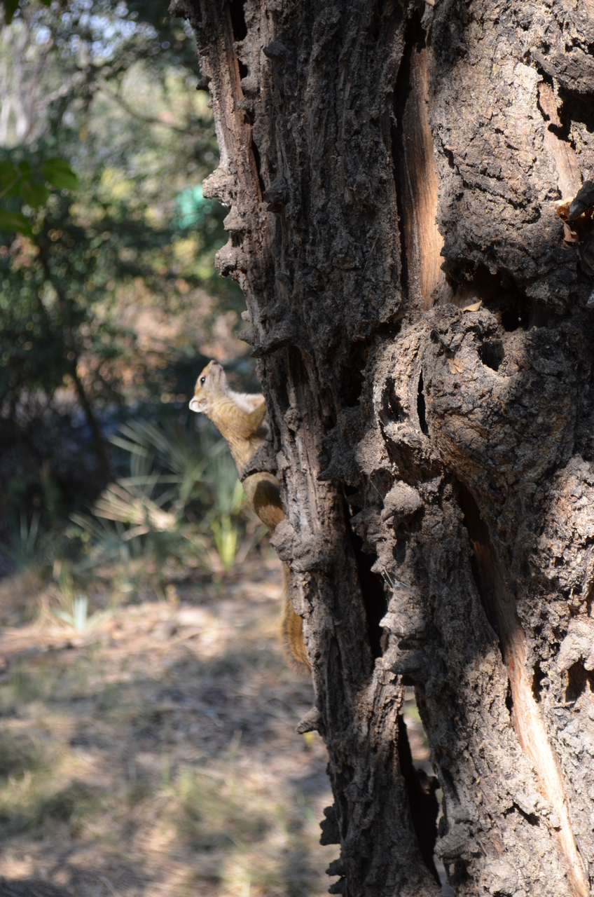 [26707] 2016_07_01_04_30_54_Africa_NIKON_D5100_IMG__05387.jpg