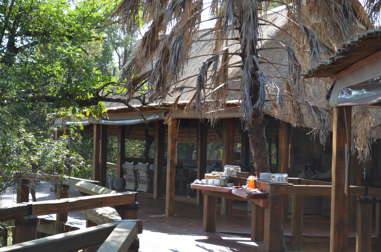 [26714] 2016_07_01_04_35_14_Africa_NIKON_D5100_IMG__00769.jpg