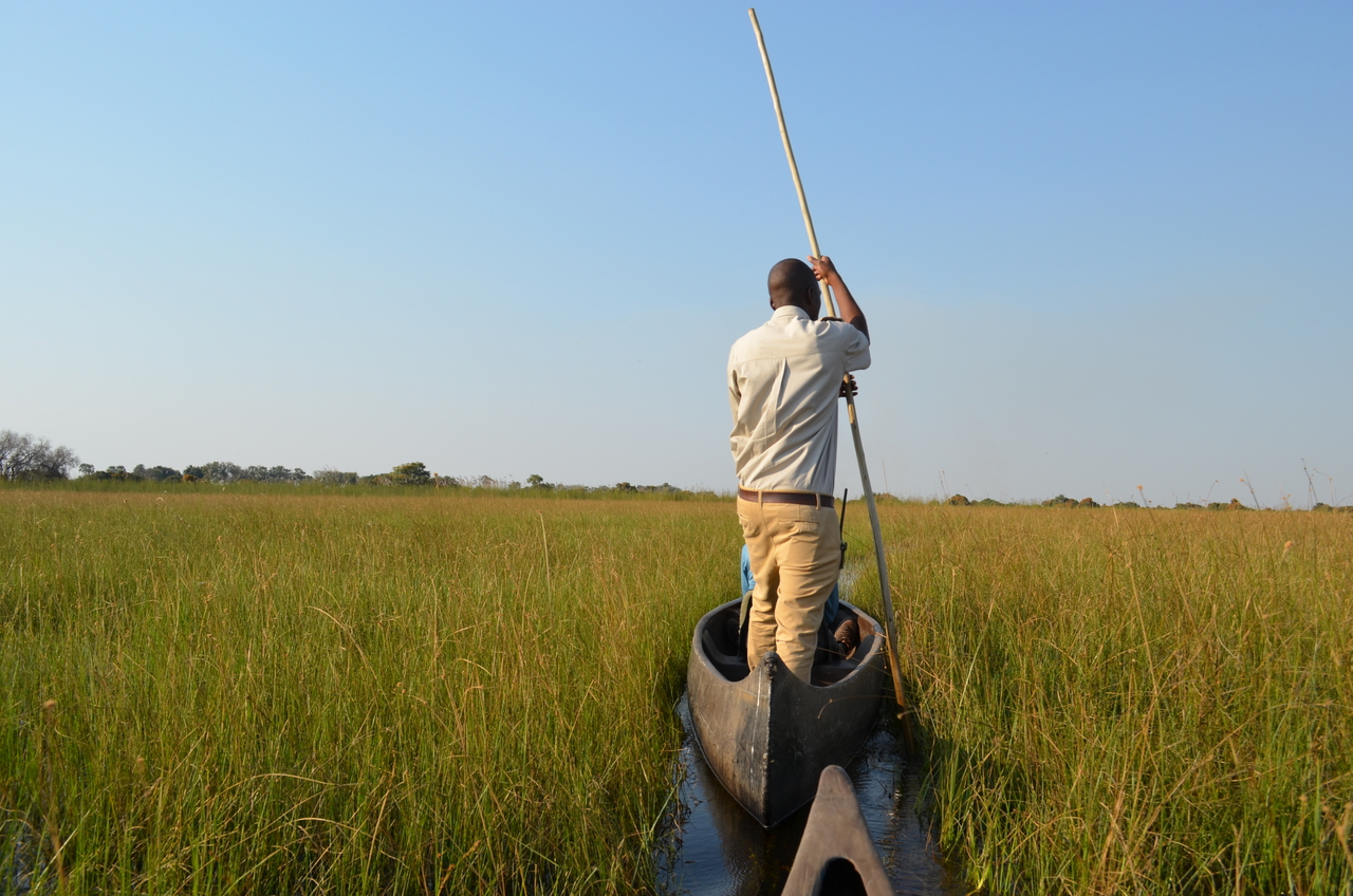 [26746] 2016_07_01_06_17_42_Africa_NIKON_D5100_IMG__00785.jpg