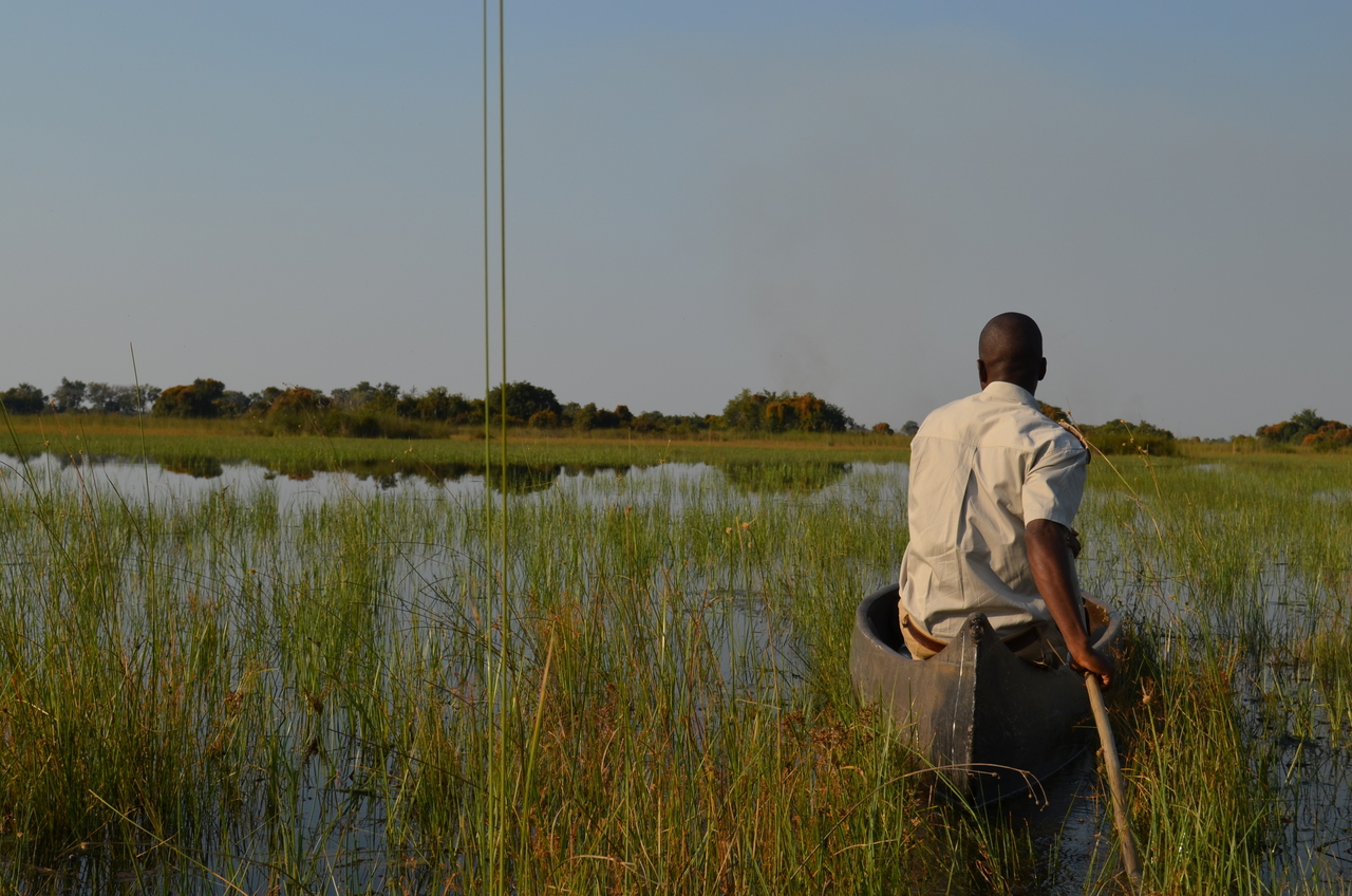 [26758] 2016_07_01_06_25_13_Africa_NIKON_D5100_IMG__00791.jpg