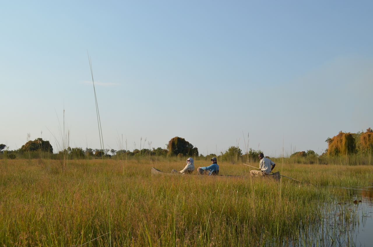 [26785] 2016_07_01_06_38_29_Africa_NIKON_D5100_IMG__05426.jpg