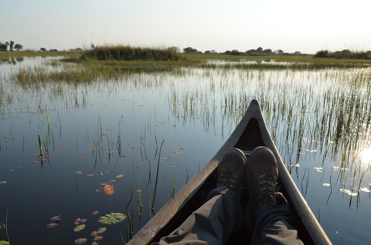 [26813] 2016_07_01_06_48_54_Africa_NIKON_D5100_IMG__05440.jpg