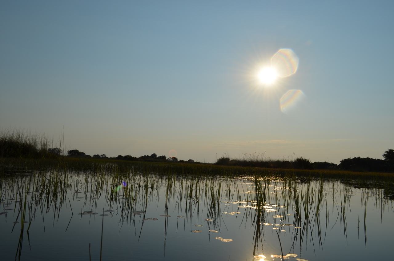 [26818] 2016_07_01_06_49_36_Africa_NIKON_D5100_IMG__00821.jpg