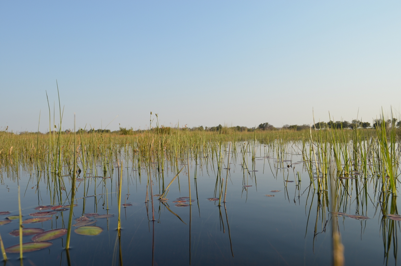[26823] 2016_07_01_06_49_56_Africa_NIKON_D5100_IMG__05445.jpg