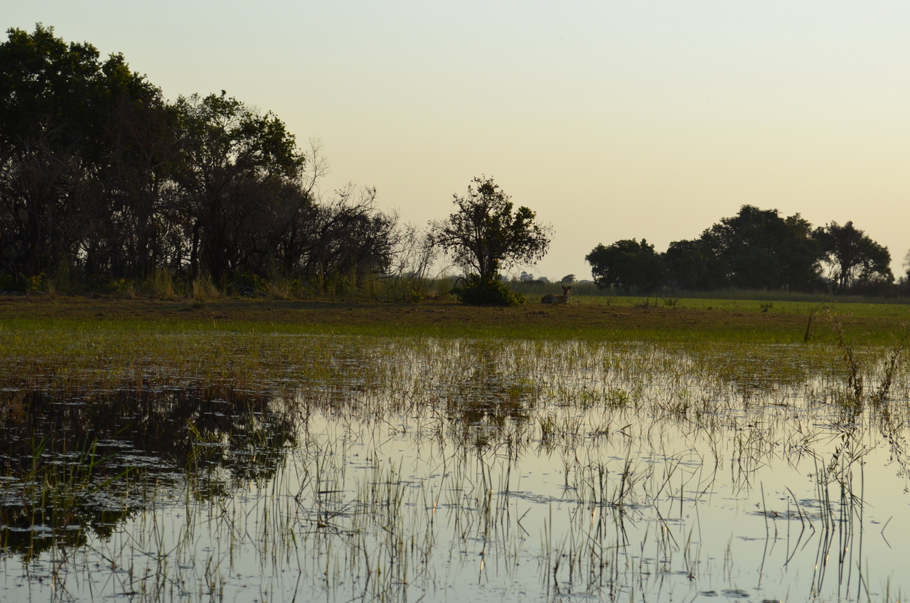[26851] 2016_07_01_07_18_28_Africa_NIKON_D5100_IMG__05459.jpg