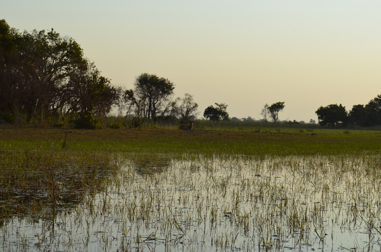[26857] 2016_07_01_07_19_12_Africa_NIKON_D5100_IMG__05462.jpg