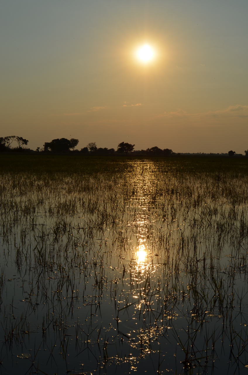 [26858] 2016_07_01_07_21_06_Africa_NIKON_D5100_IMG__00841.jpg