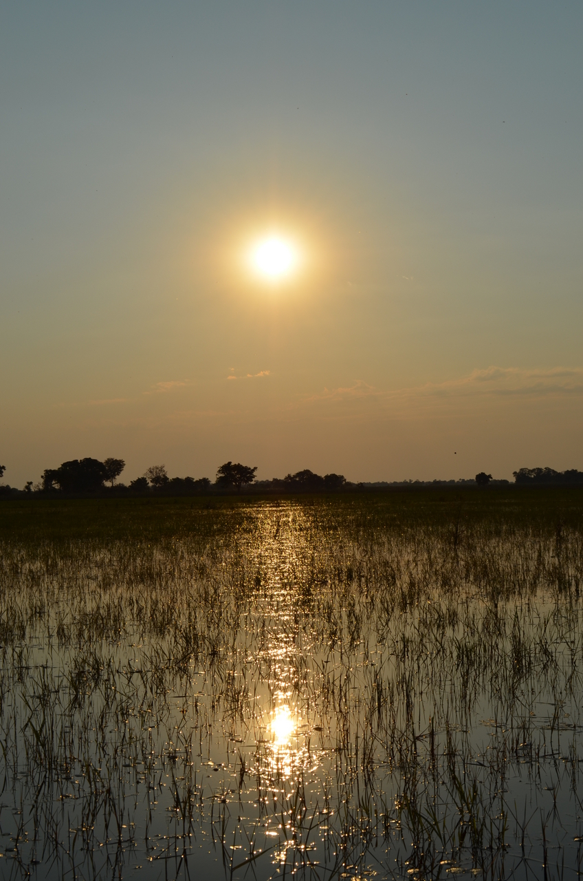 [26861] 2016_07_01_07_21_11_Africa_NIKON_D5100_IMG__05464.jpg