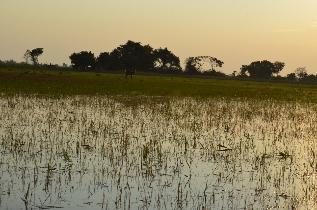 [26870] 2016_07_01_07_22_35_Africa_NIKON_D5100_IMG__00847.jpg