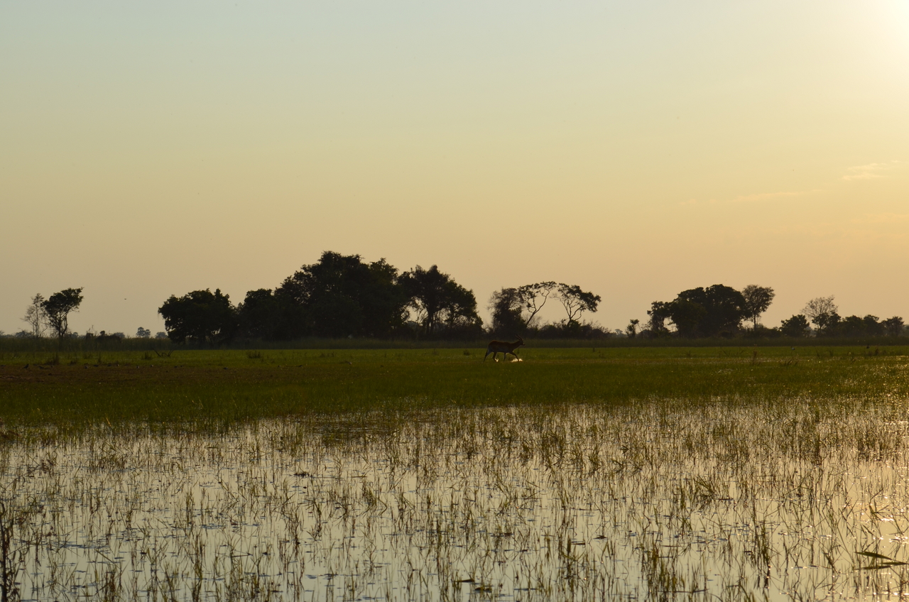 [26872] 2016_07_01_07_22_50_Africa_NIKON_D5100_IMG__00848.jpg