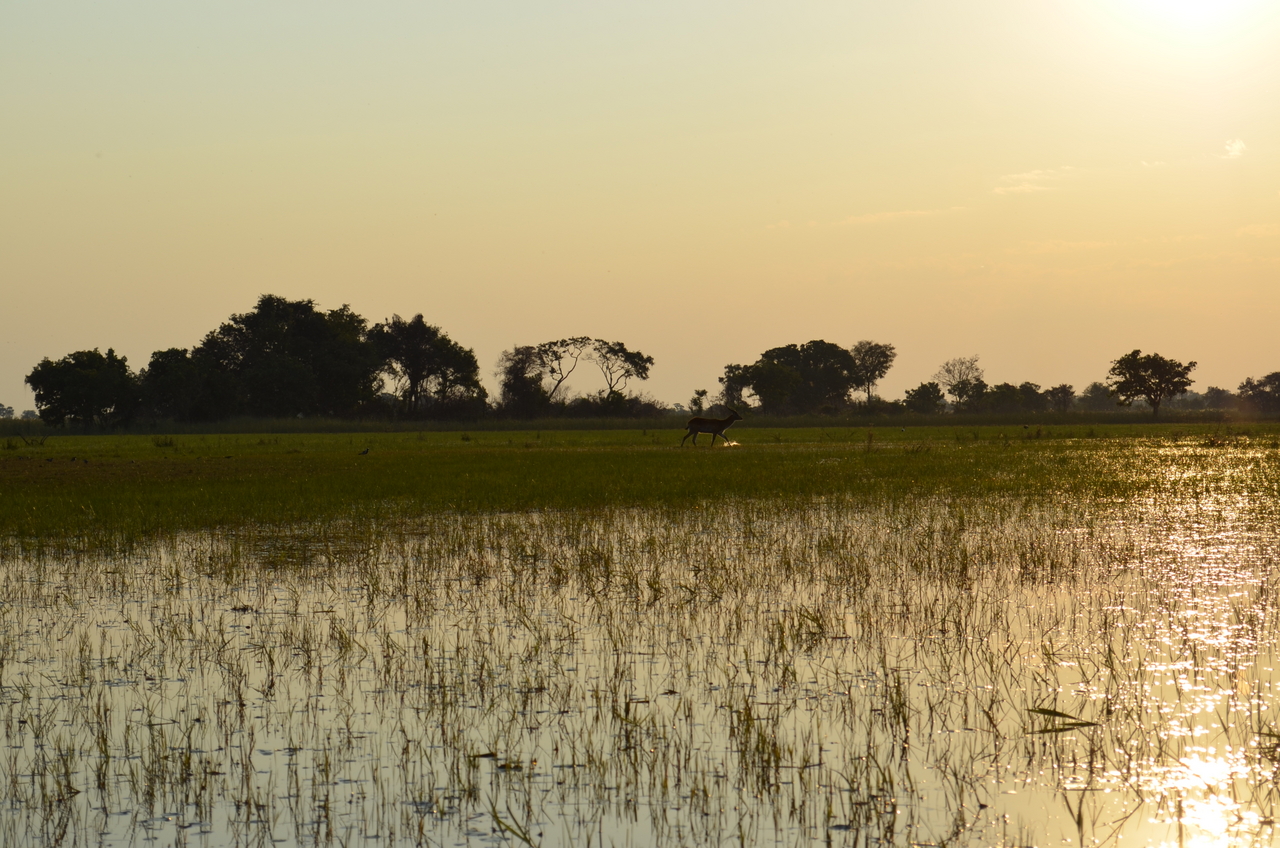 [26875] 2016_07_01_07_22_58_Africa_NIKON_D5100_IMG__05471.jpg