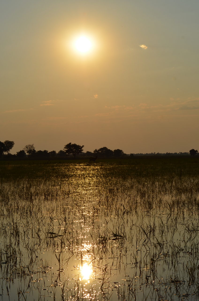 [26881] 2016_07_01_07_23_24_Africa_NIKON_D5100_IMG__05474.jpg