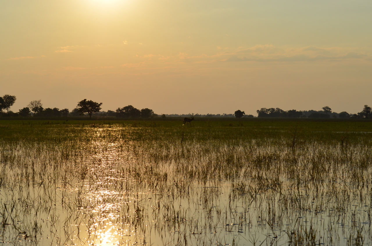 [26884] 2016_07_01_07_23_45_Africa_NIKON_D5100_IMG__00854.jpg