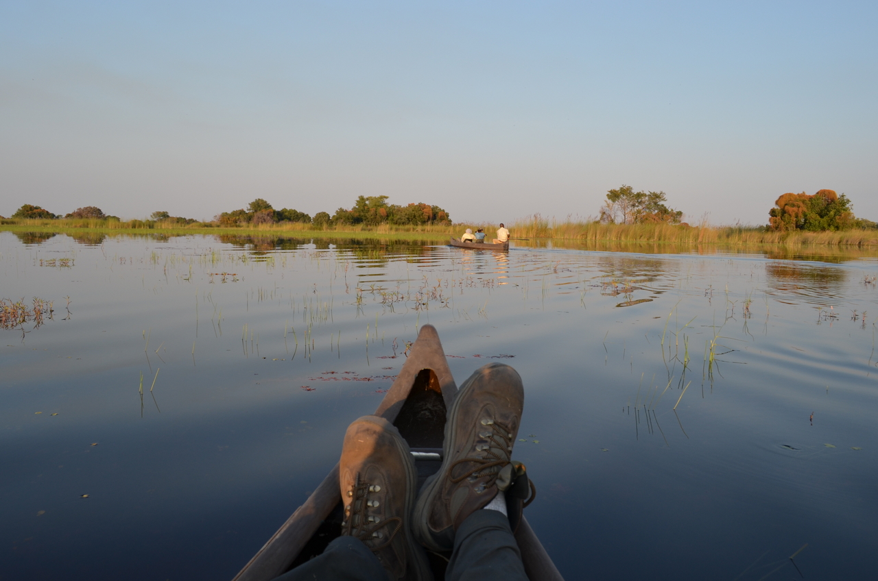 [26893] 2016_07_01_07_26_00_Africa_NIKON_D5100_IMG__05480.jpg