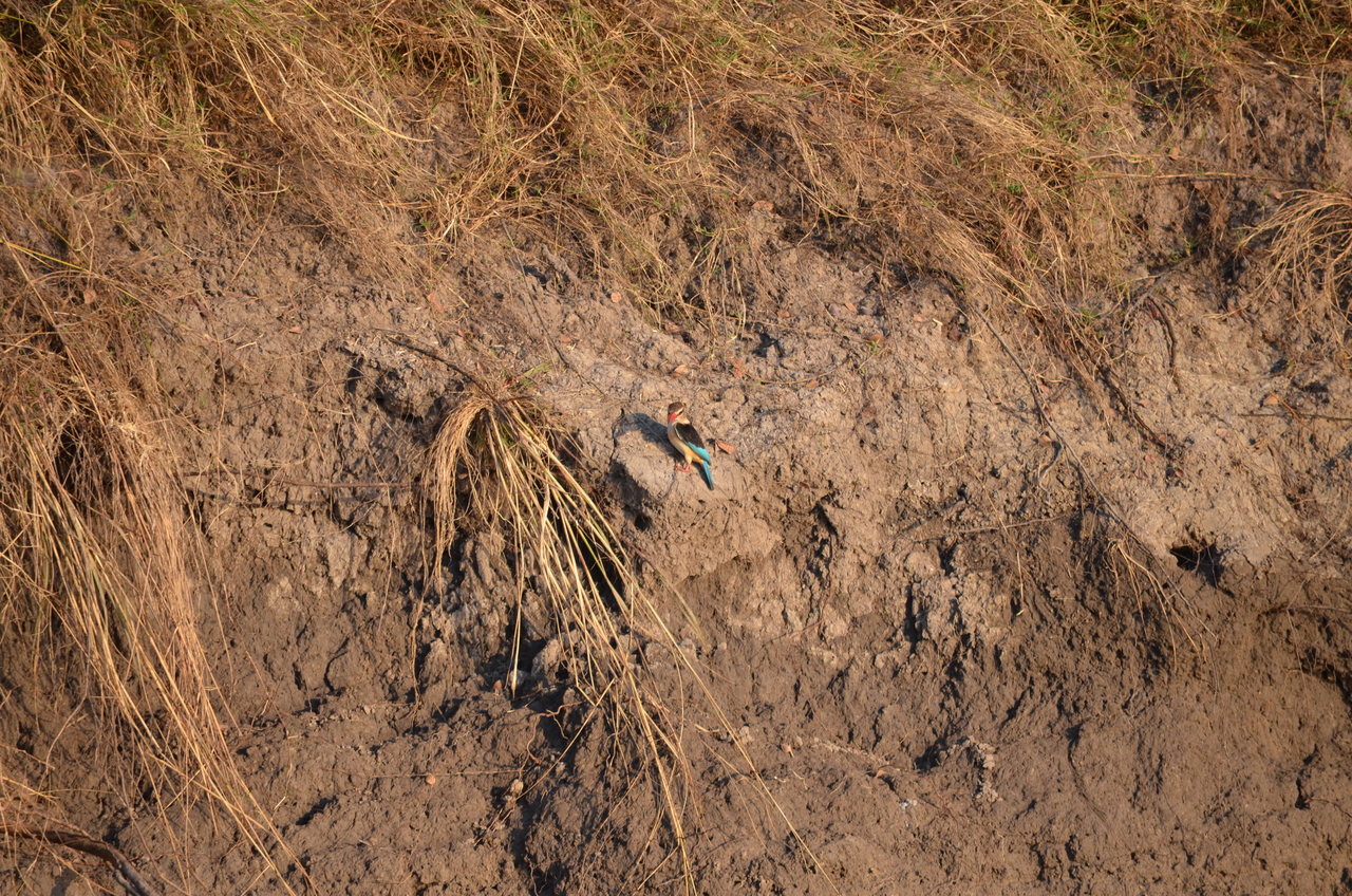 [27837] 2016_07_02_07_07_41_Africa_NIKON_D5100_IMG__00886.jpg