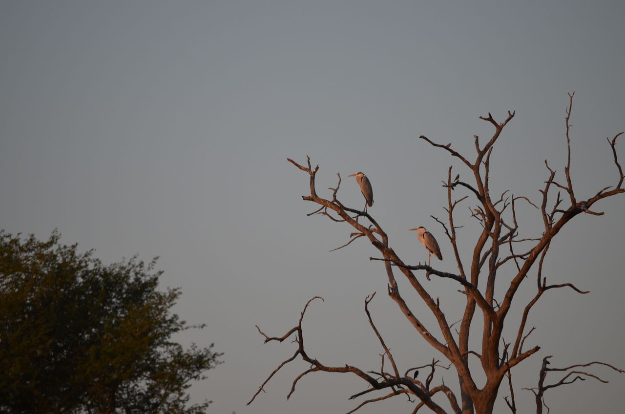 [27851] 2016_07_02_07_42_52_Africa_NIKON_D5100_IMG__00890.jpg