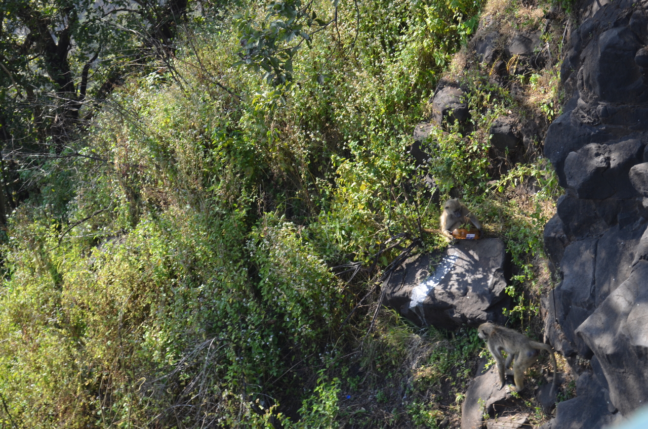 [28878] 2016_07_03_00_01_20_Africa_NIKON_D5100_IMG__00910.jpg