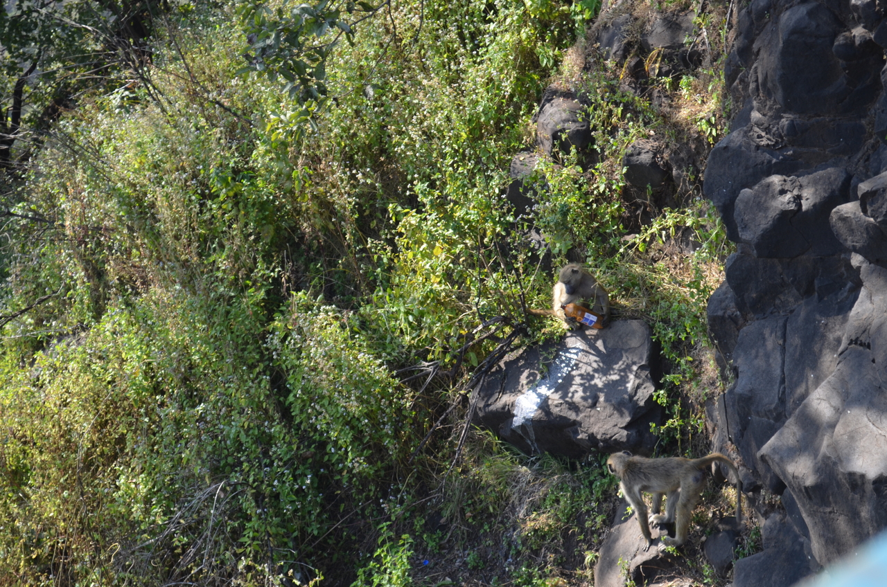 [28880] 2016_07_03_00_01_22_Africa_NIKON_D5100_IMG__00911.jpg