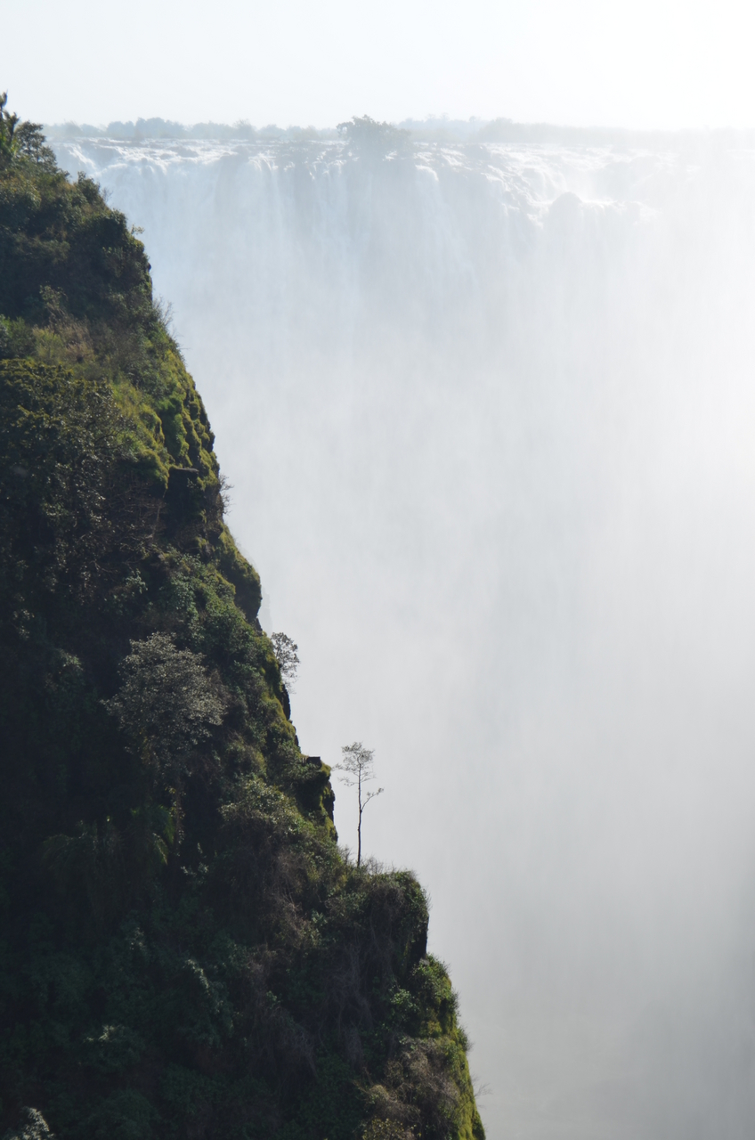 [28896] 2016_07_03_00_06_47_Africa_NIKON_D5100_IMG__00919.jpg