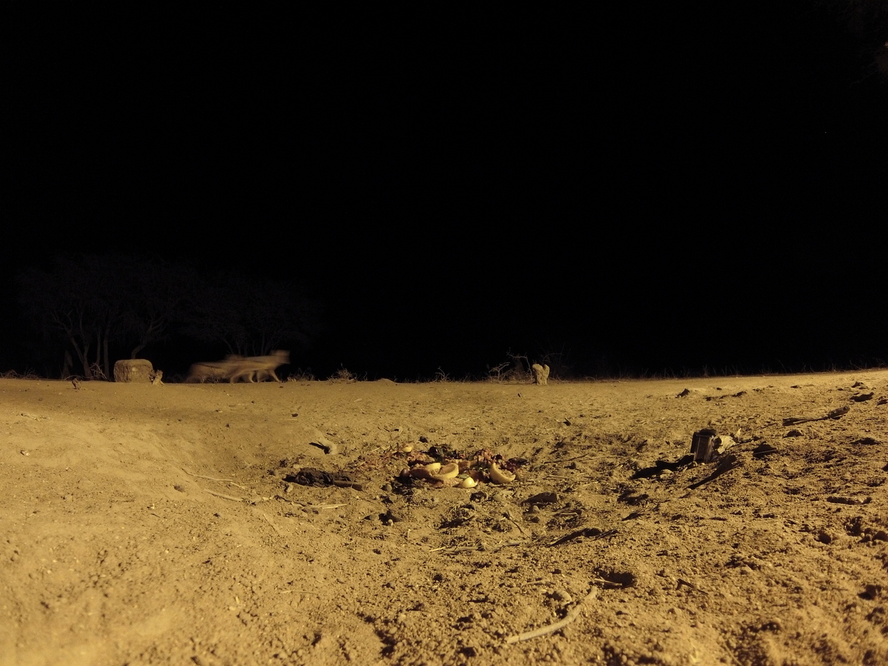 [3821] 2016_06_22_20_45_00_Africa_Hero3-Silver_Edition_IMG__00467.jpg