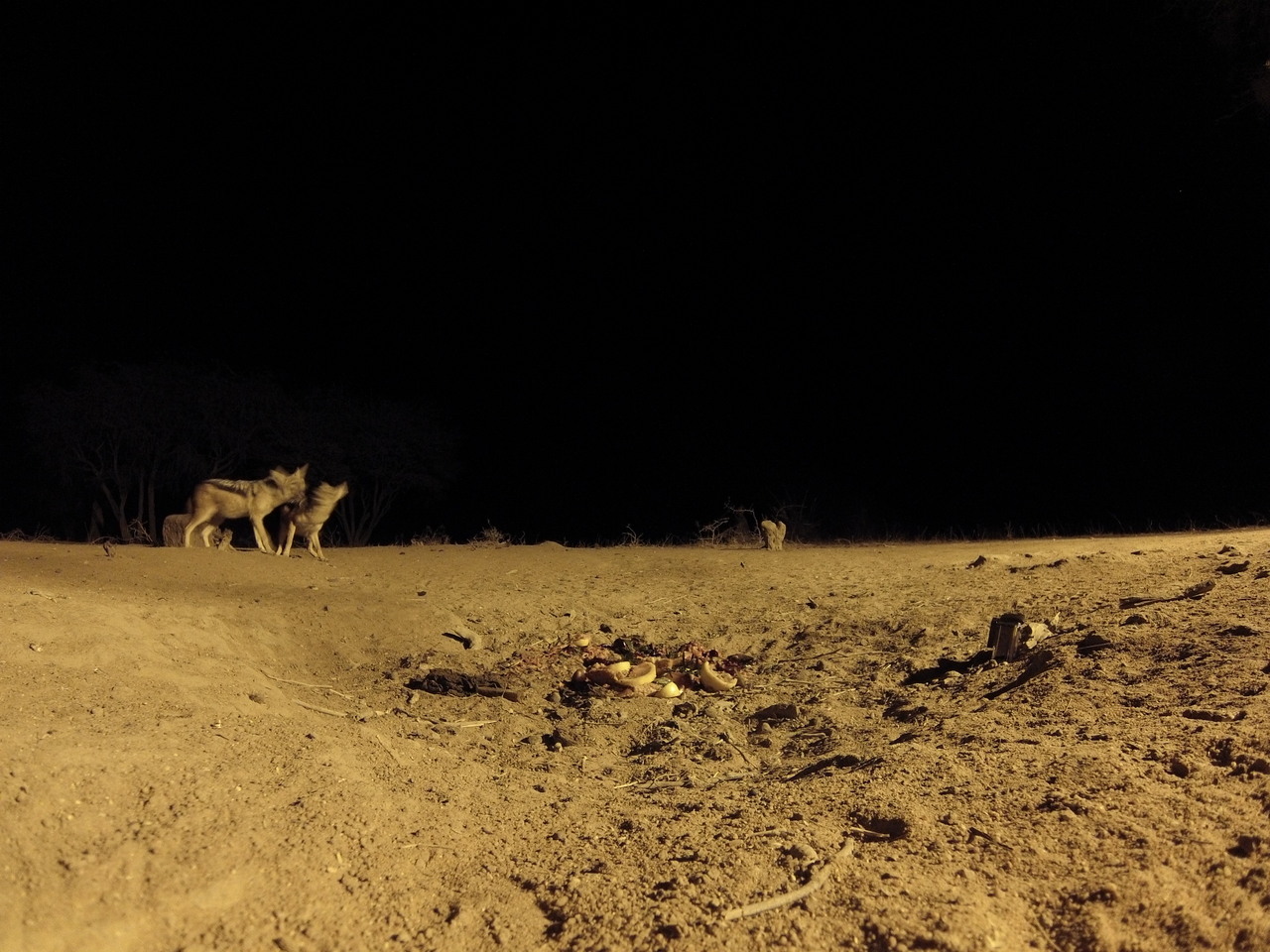 [3840] 2016_06_22_20_45_30_Africa_Hero3-Silver_Edition_IMG__00029.jpg