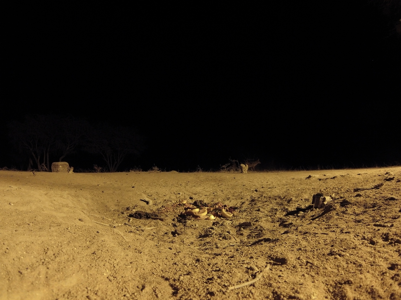 [3848] 2016_06_22_20_45_44_Africa_Hero3-Silver_Edition_IMG__00033.jpg