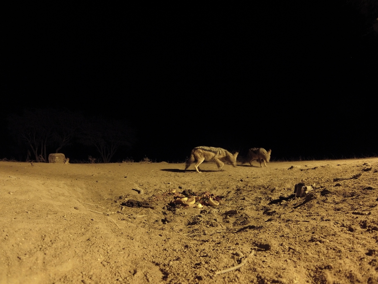 [3858] 2016_06_22_20_45_58_Africa_Hero3-Silver_Edition_IMG__00038.jpg