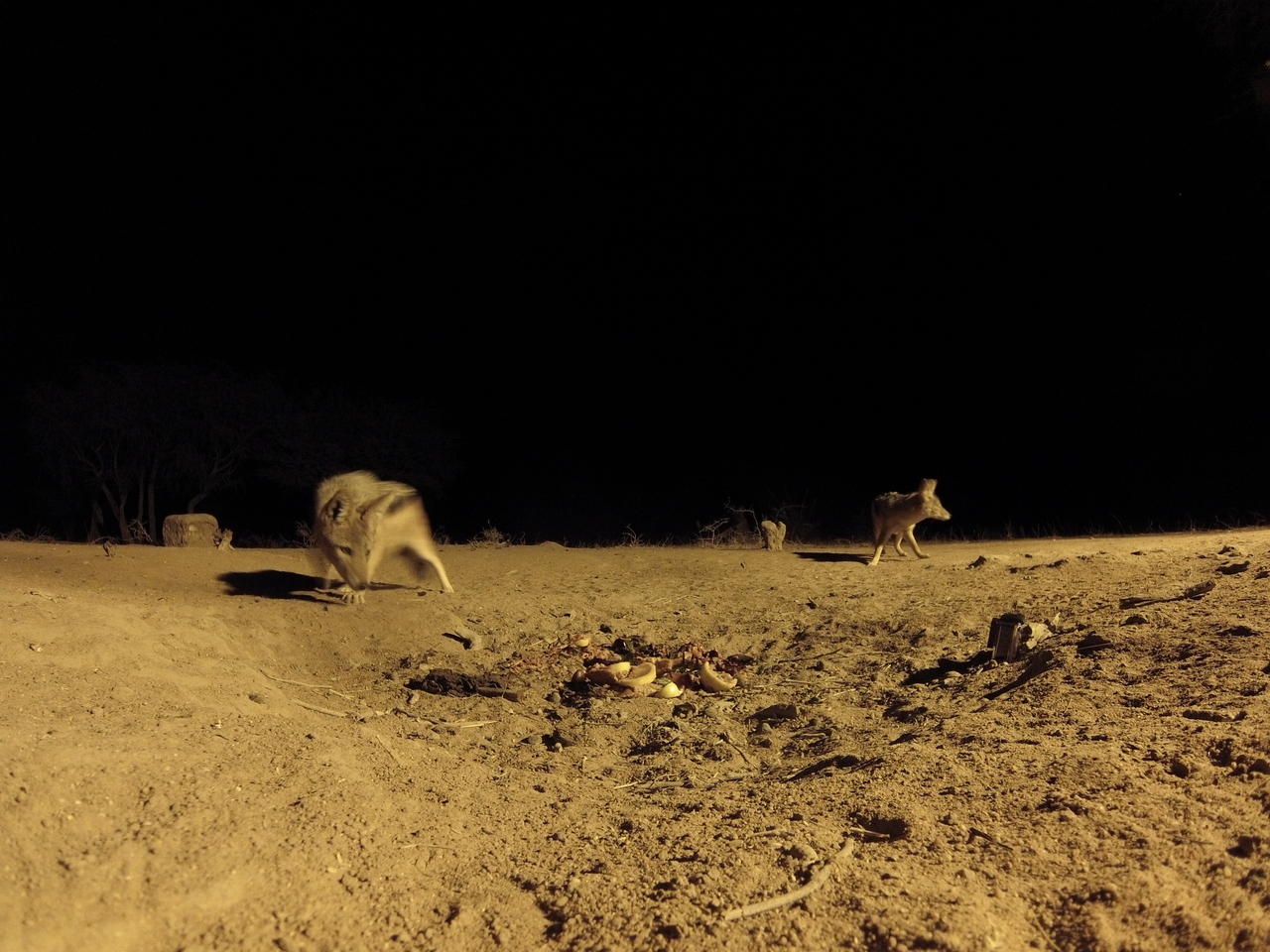 [3879] 2016_06_22_20_46_30_Africa_Hero3-Silver_Edition_IMG__00496.jpg