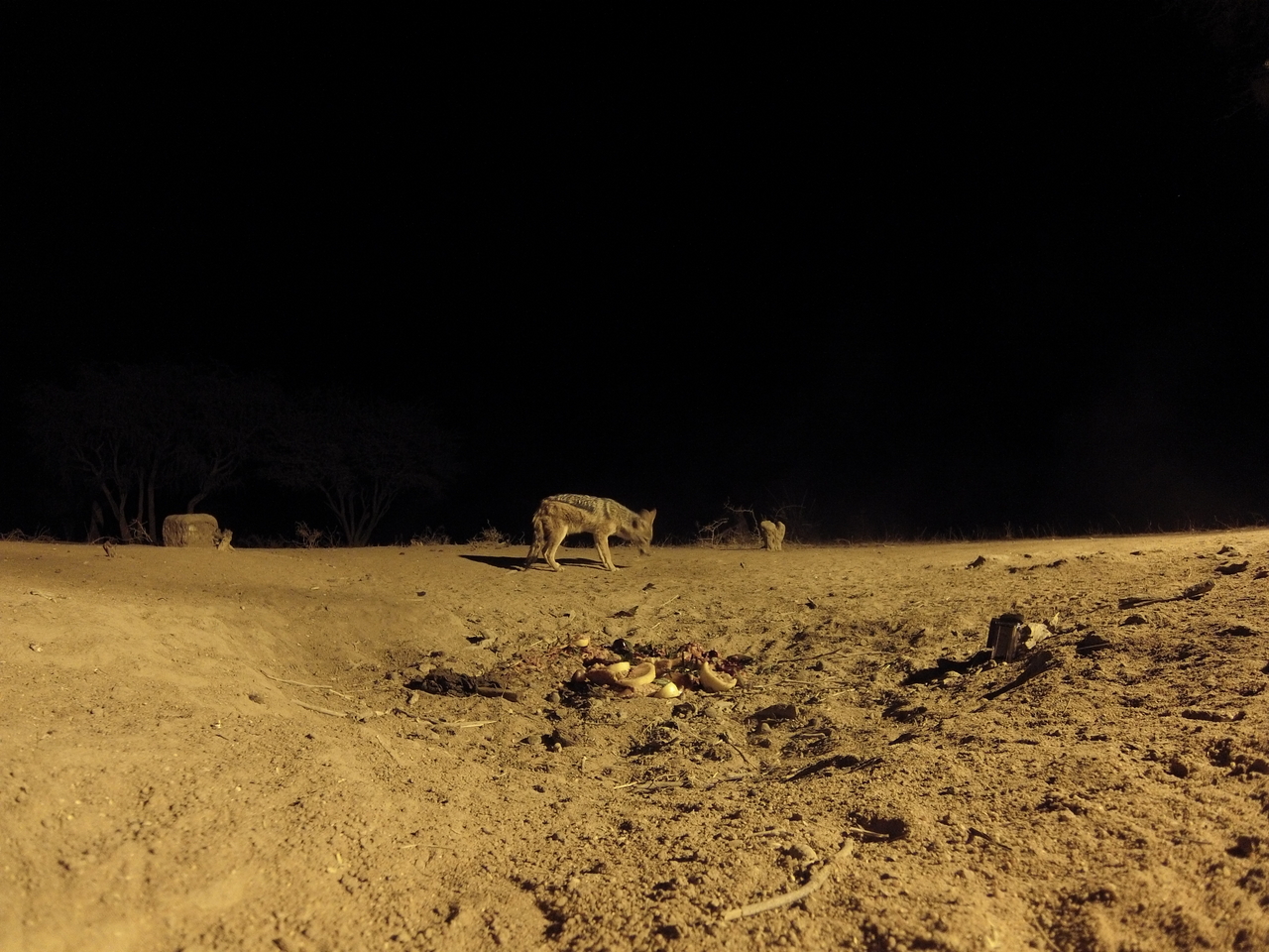 [3894] 2016_06_22_20_46_58_Africa_Hero3-Silver_Edition_IMG__00056.jpg