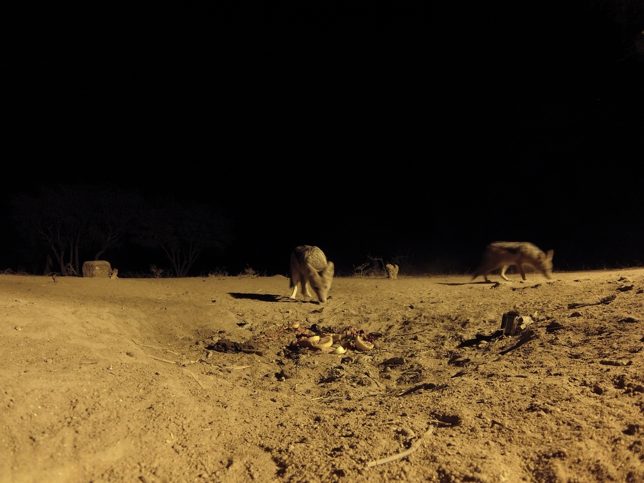 [3899] 2016_06_22_20_47_04_Africa_Hero3-Silver_Edition_IMG__00506.jpg