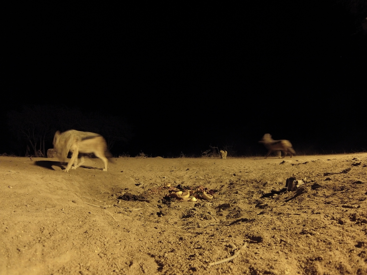 [3902] 2016_06_22_20_47_10_Africa_Hero3-Silver_Edition_IMG__00060.jpg