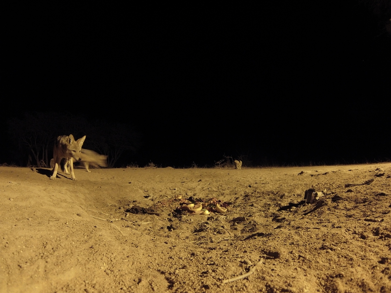 [3909] 2016_06_22_20_47_18_Africa_Hero3-Silver_Edition_IMG__00511.jpg