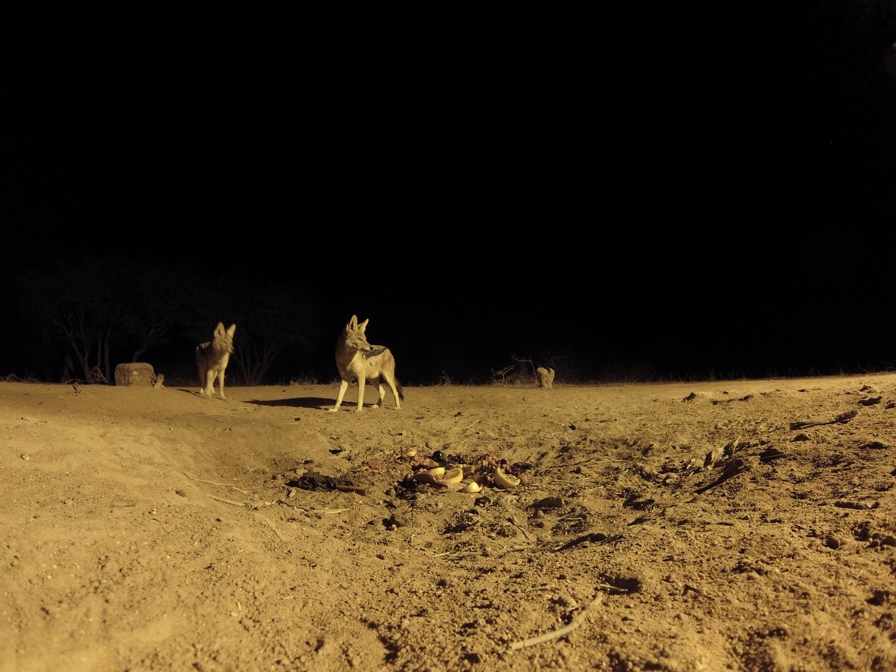 [3980] 2016_06_22_20_49_18_Africa_Hero3-Silver_Edition_IMG__00099.jpg