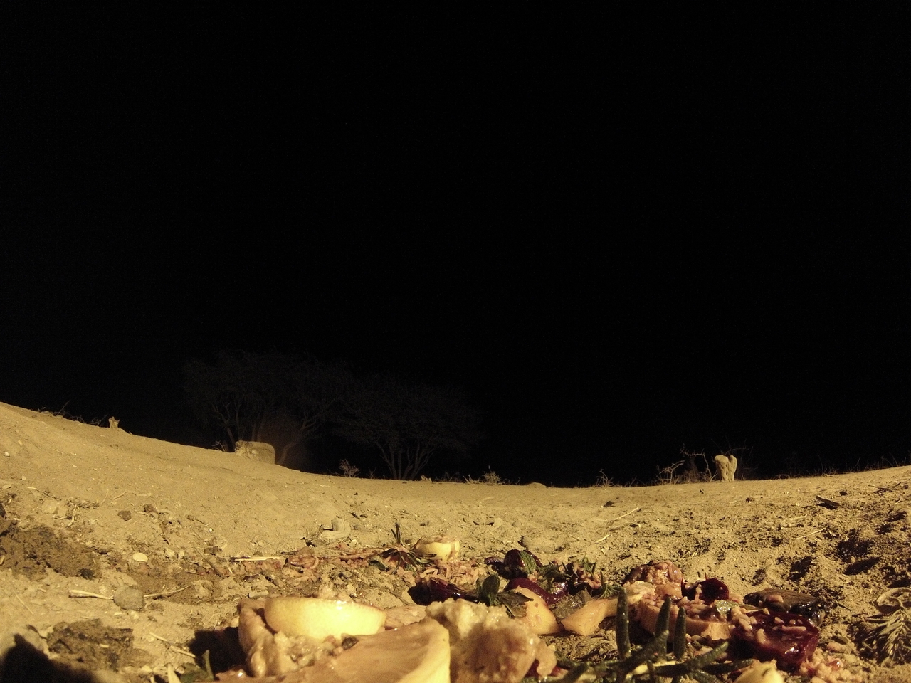 [3992] 2016_06_22_20_49_39_Africa_Hero3-Silver_Edition_IMG__00105.jpg