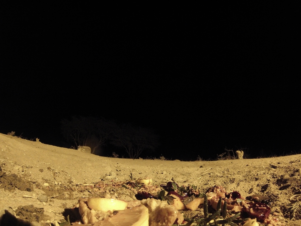 [4004] 2016_06_22_20_49_53_Africa_Hero3-Silver_Edition_IMG__00111.jpg