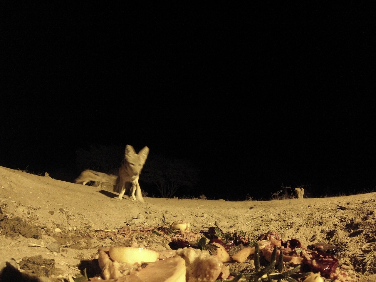 [4017] 2016_06_22_20_50_09_Africa_Hero3-Silver_Edition_IMG__00565.jpg