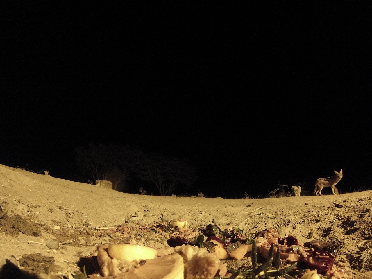 [4029] 2016_06_22_20_50_25_Africa_Hero3-Silver_Edition_IMG__00571.jpg