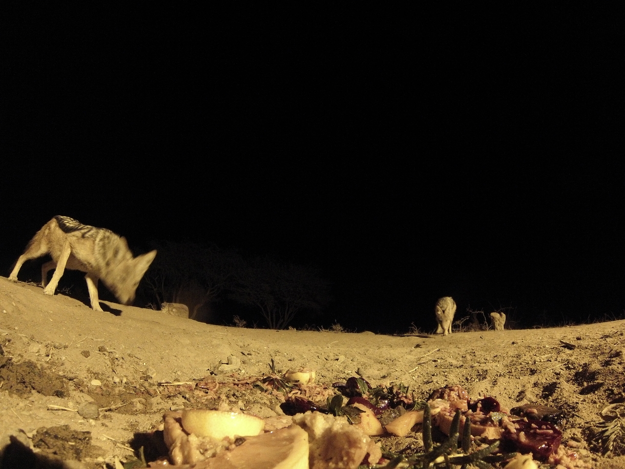 [4032] 2016_06_22_20_50_31_Africa_Hero3-Silver_Edition_IMG__00125.jpg