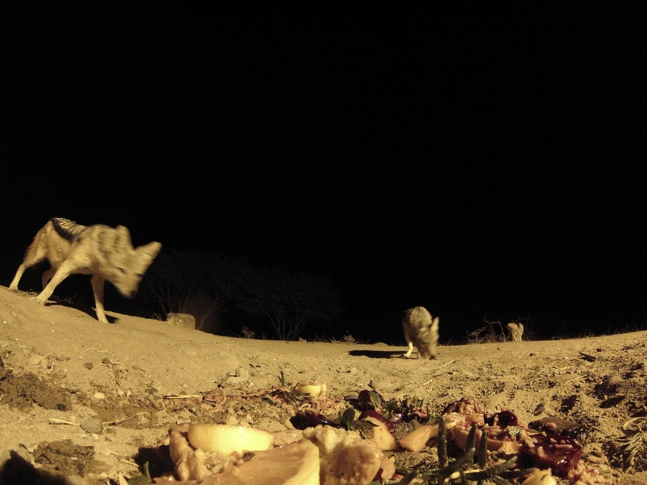 [4035] 2016_06_22_20_50_33_Africa_Hero3-Silver_Edition_IMG__00574.jpg