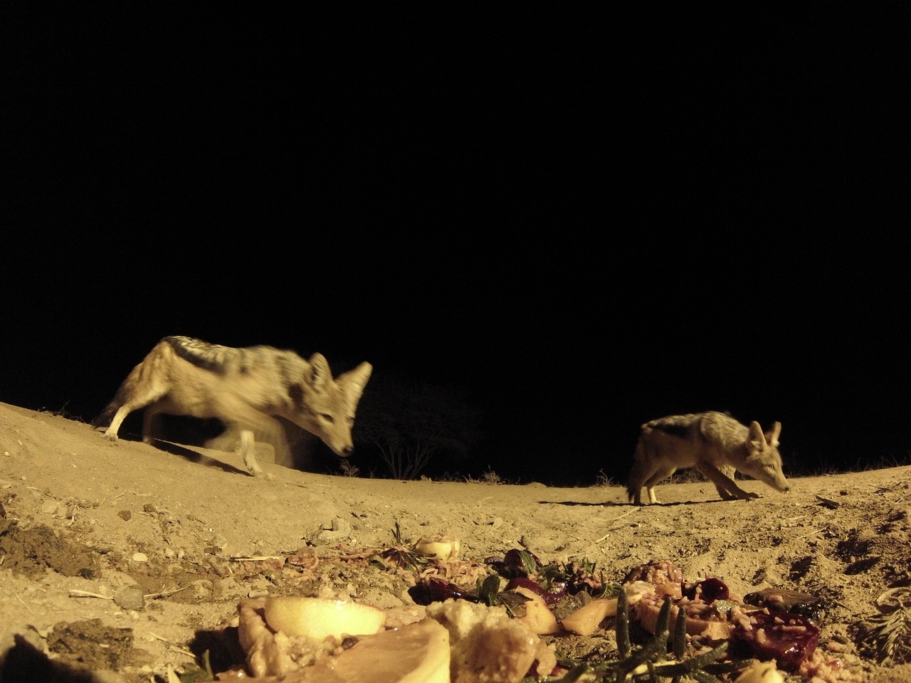 [4036] 2016_06_22_20_50_37_Africa_Hero3-Silver_Edition_IMG__00127.jpg