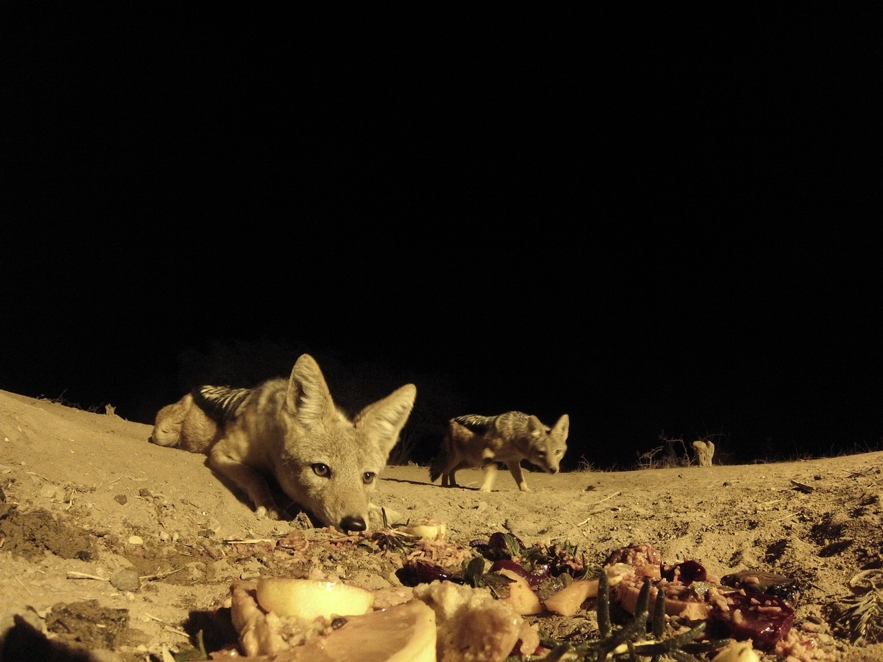 [4065] 2016_06_22_20_51_13_Africa_Hero3-Silver_Edition_IMG__00588.jpg