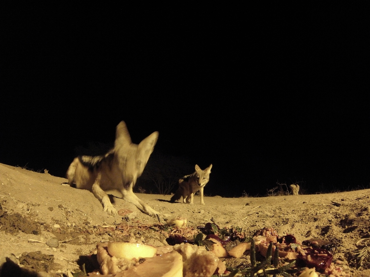 [4067] 2016_06_22_20_51_17_Africa_Hero3-Silver_Edition_IMG__00589.jpg