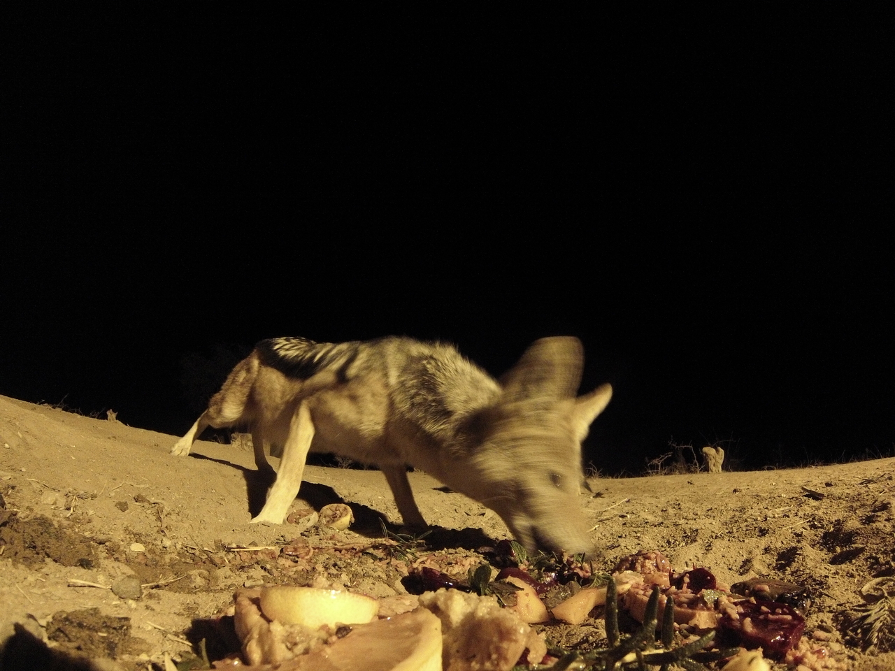 [4077] 2016_06_22_20_51_33_Africa_Hero3-Silver_Edition_IMG__00594.jpg