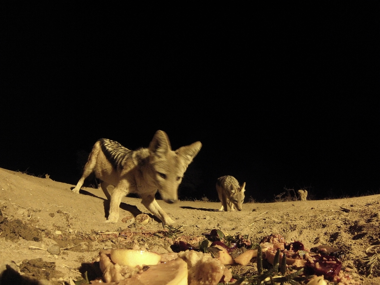 [4078] 2016_06_22_20_51_35_Africa_Hero3-Silver_Edition_IMG__00147.jpg